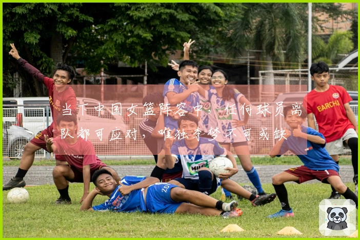 当下中国女篮阵容中，任何球员离队都可应对，唯独李梦不可或缺